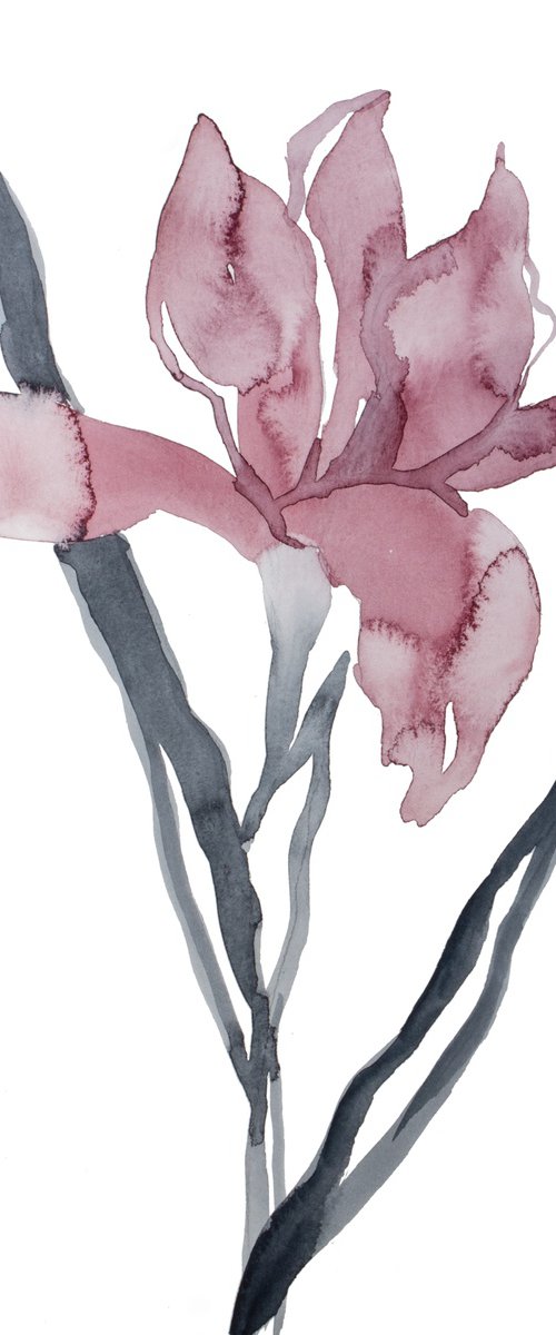 Iris No. 191 by Elizabeth Becker
