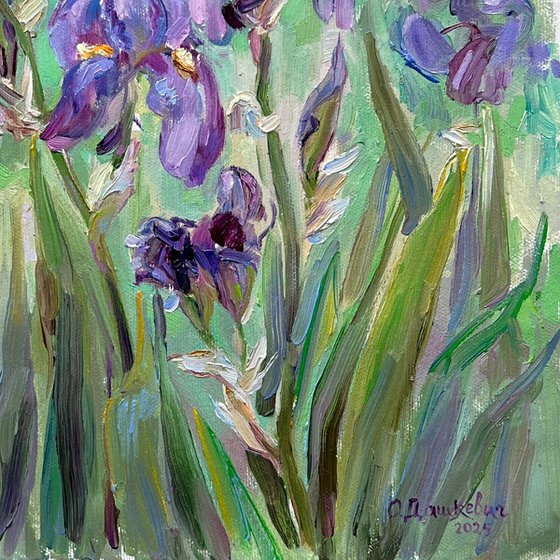 «Irises»