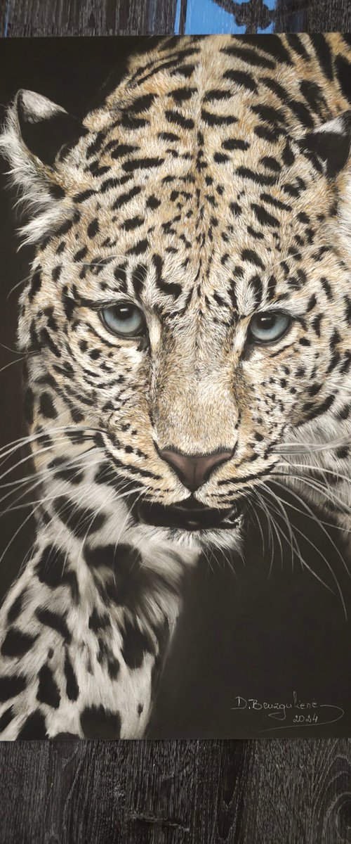 ,,I See Your Soul'' Leopard realism wild animals pastel on pastelmat by Deimante Bruzguliene