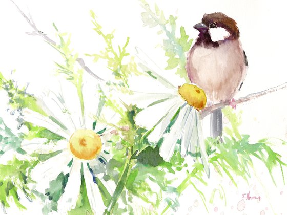 Sparrow and Chamomile Flowers