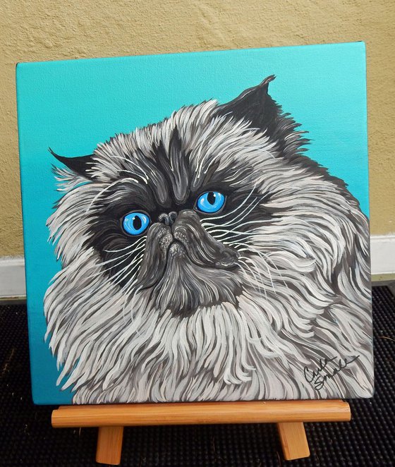 Himalayn Persian Cat-Acrylic Gouache-12 x 12 Stretched Canvas-Carla Smale