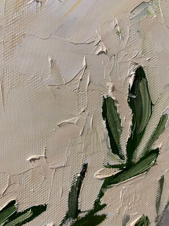 Olive Branches by the Window.