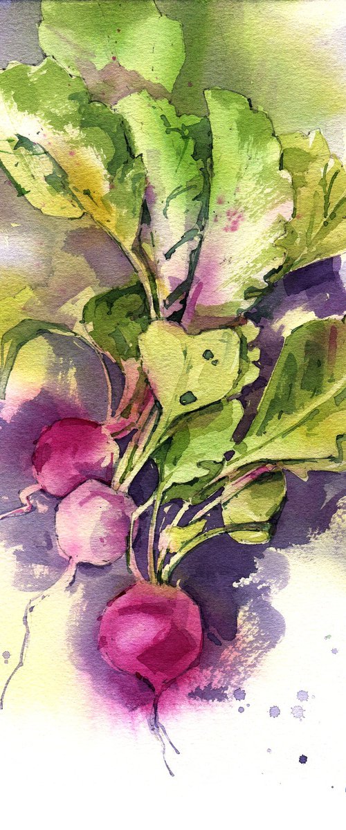 "Bunch of radishes" - Original watercolor painting by Ksenia Selianko
