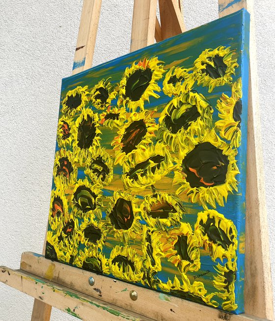 Blooming sunflowers 5