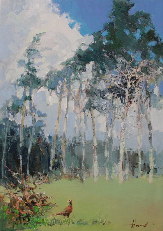 Forest Edge