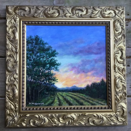 EAST FIELD SUNRISE - oil 12X12 (SOLD)