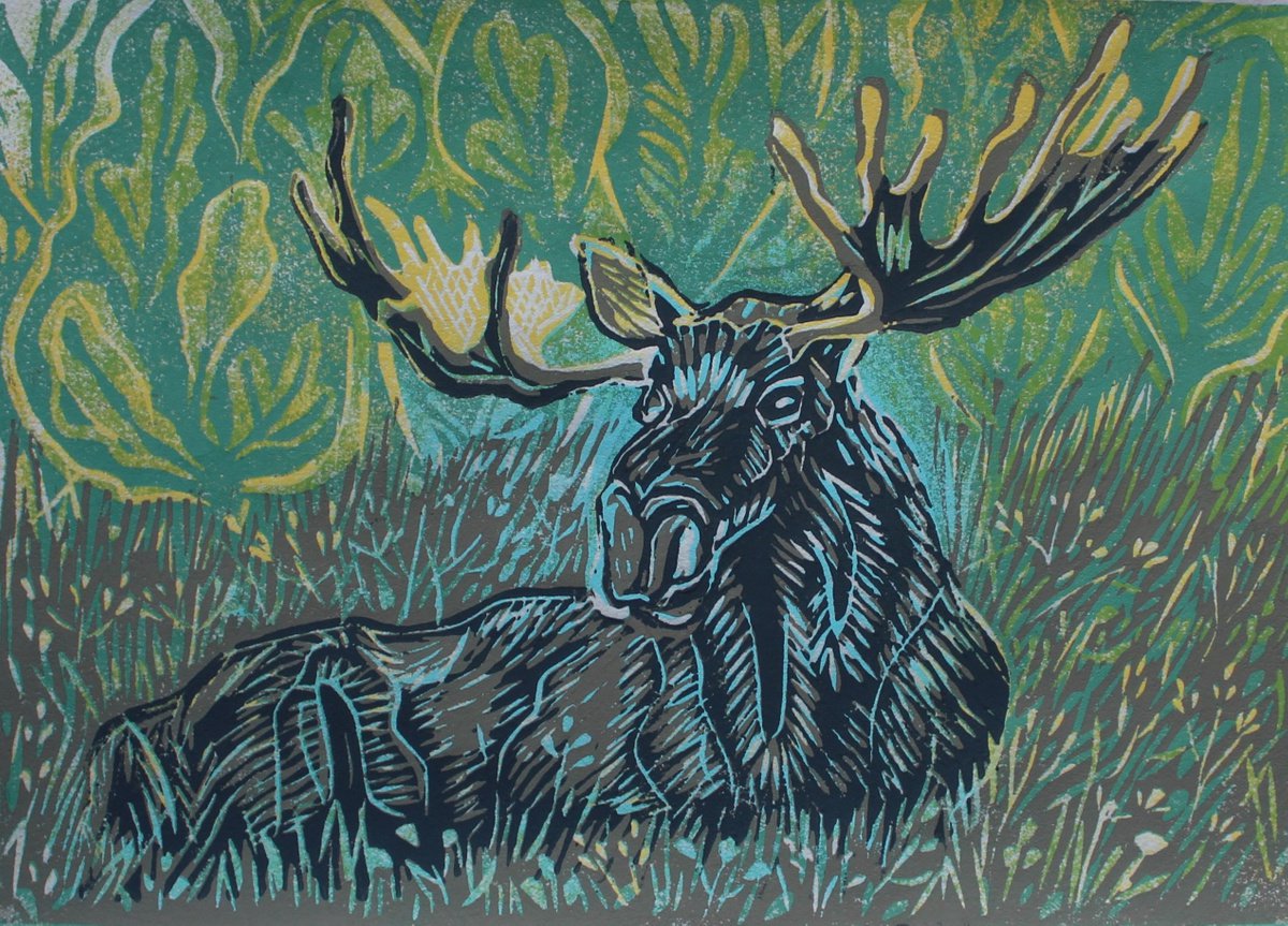 Moose by Joanna Plenzler