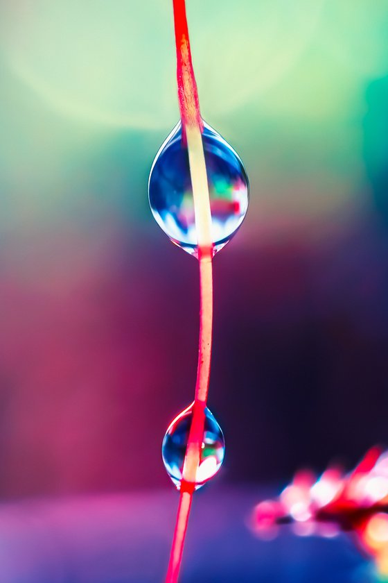 Be Bold - You are beautiful!