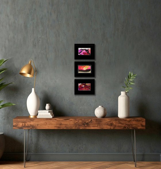 Color Joy Collection 1