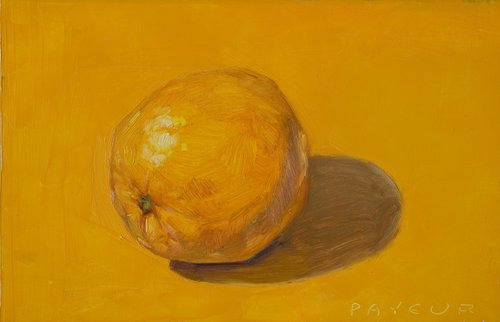 orange on orange by Olivier Payeur