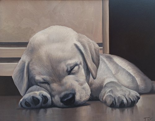 Doggy-6 (40x50cm, oil painting, ready to hang) by Tamar Nazaryan