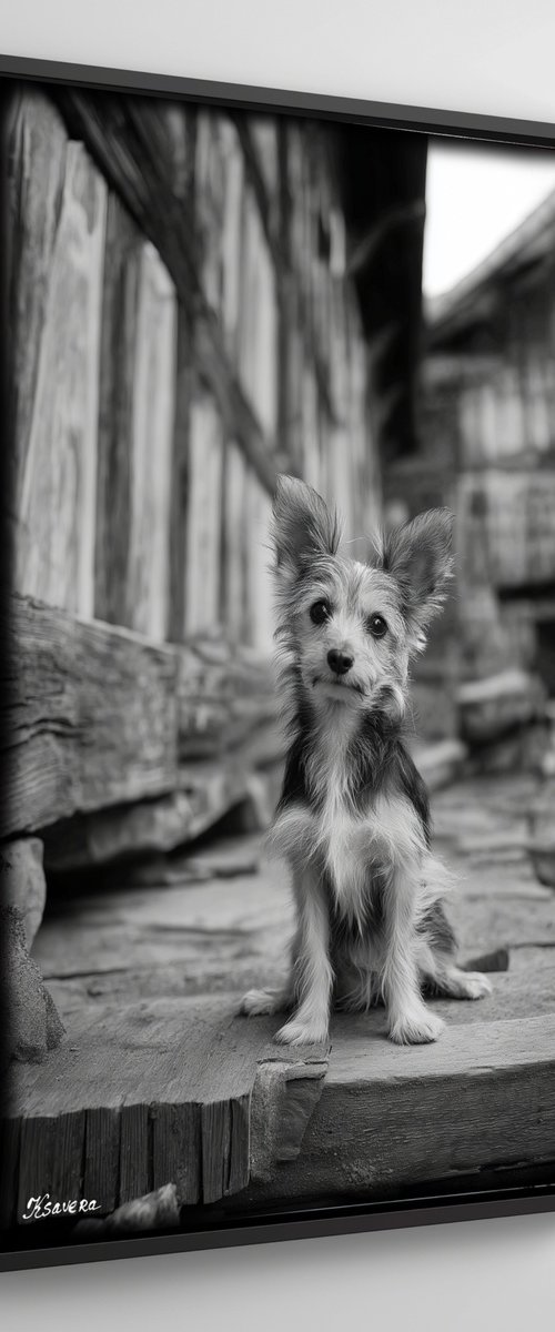 Dog in old village B0805G by Ksavera