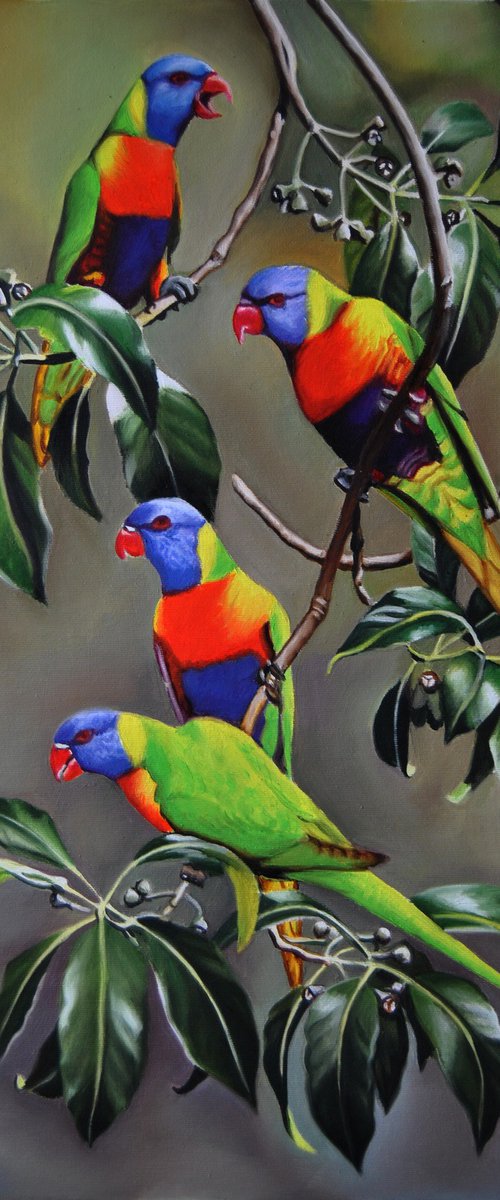 Parrots by Simona Tsvetkova