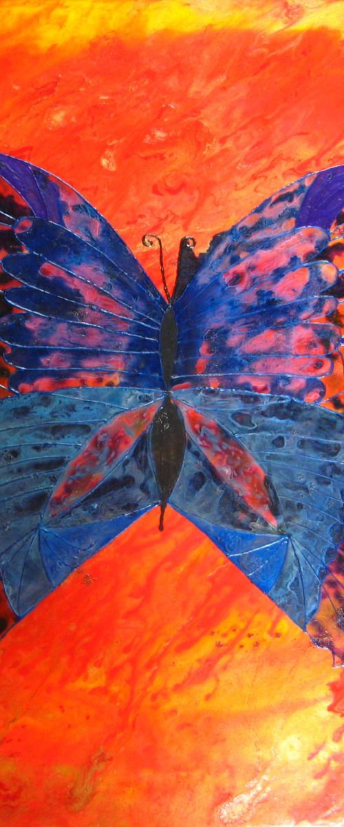 Vibrant butterfly by Fiona J Robinson