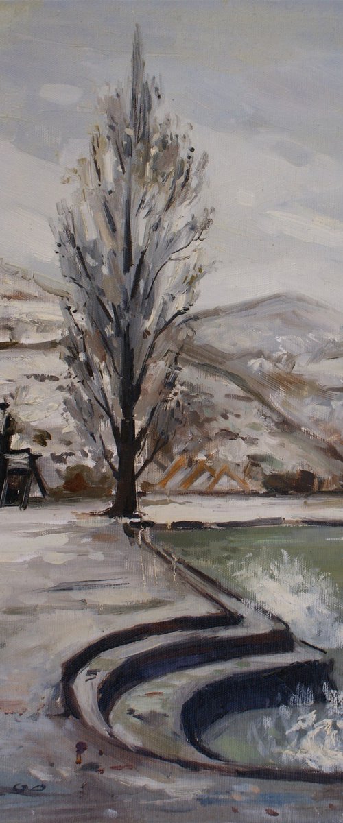 The Old Poplar in Winter by Joan Mato