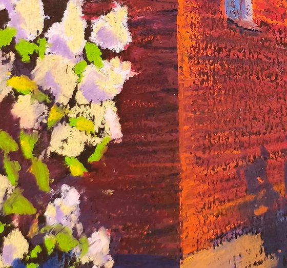 Sunlit Cottage Garden