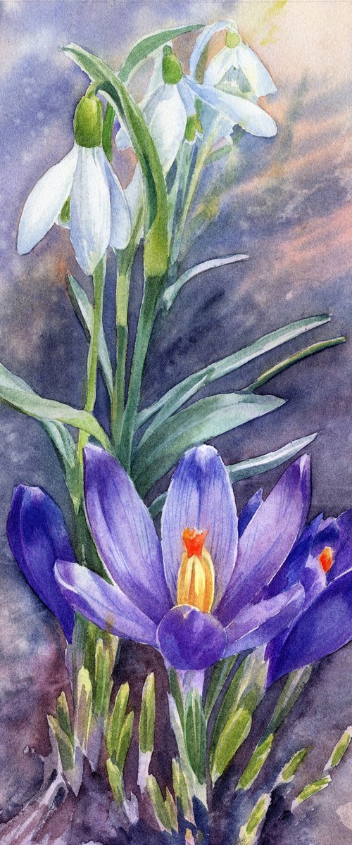 Spring primroses, snowdrops and crocuses by SVITLANA LAGUTINA