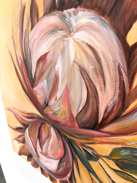 Proteas in Warm Light