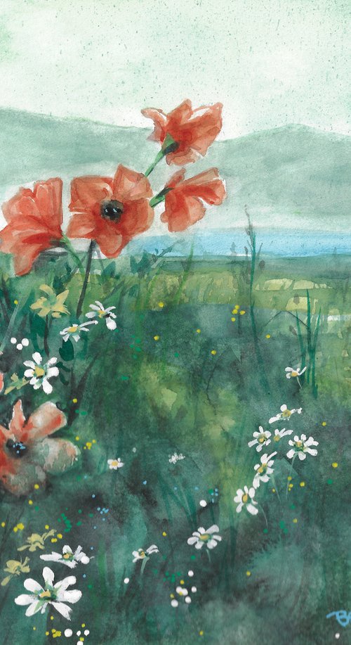 Poppies and Daisies by Ben De Soto