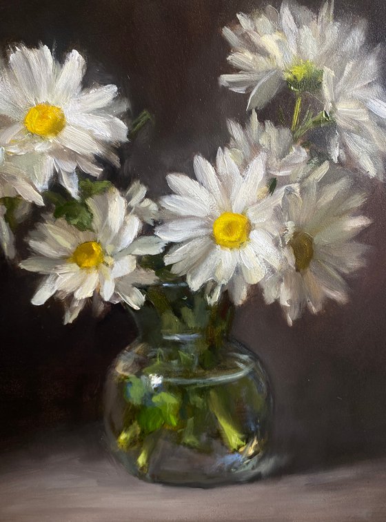 Daises. Floral Still Life