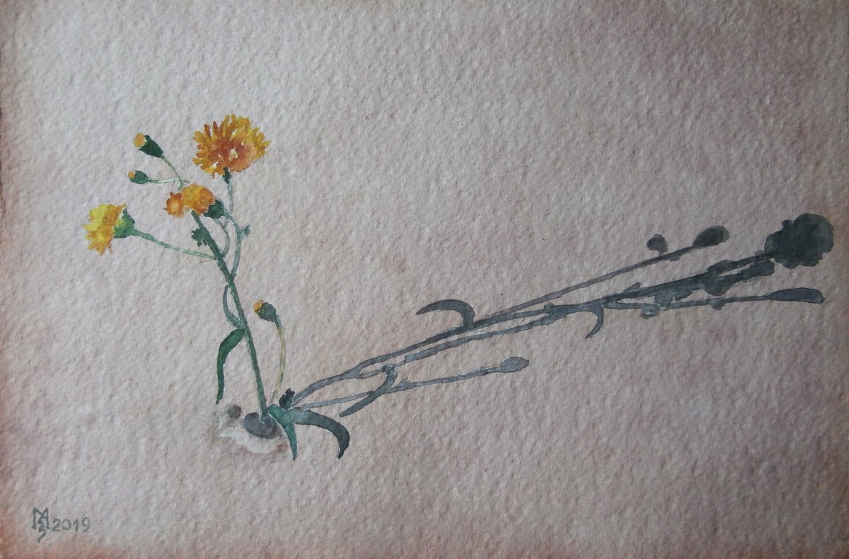 Impressionistic Botanical Watercolour By Zoran Mihajlovic Muza, 11 X 7", Desert Flower, Original Artwork