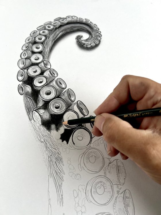 Octopus Arm