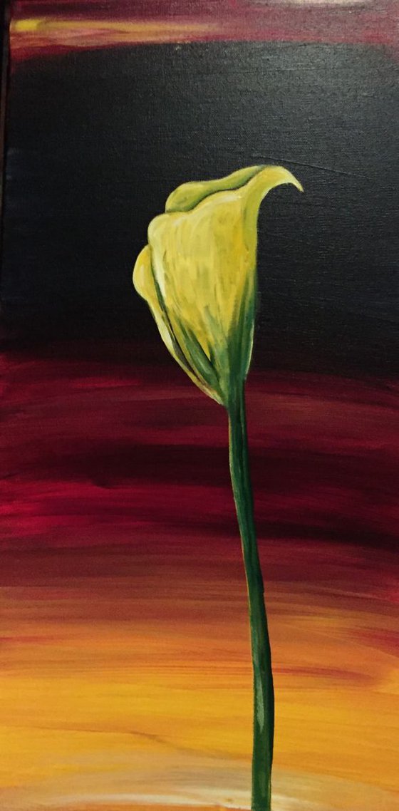 Yellow Cala Lily #2