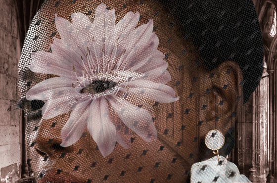 African Flower