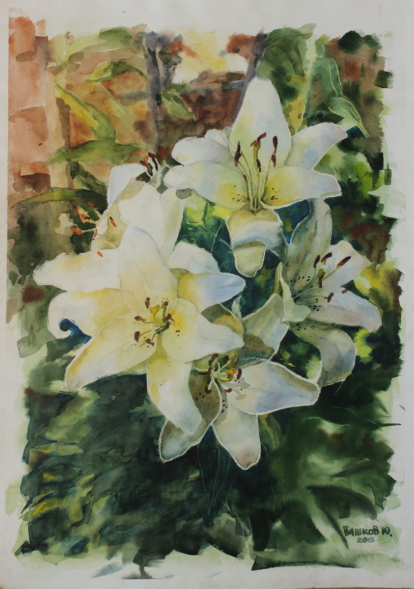 Photorealistic Watercolour , White Lilies By Yurii Pashkov, 17 X 23, Artwork For Sale On Artfinder