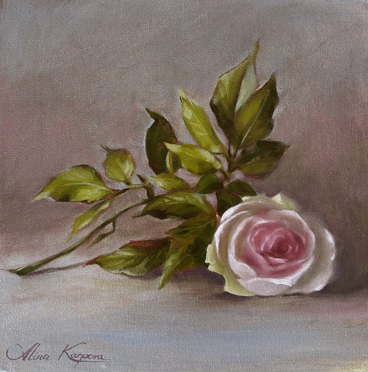 Photorealistic Botanical Oil Painting By Alina Karpova, 8 X 8, Pink Rose, Original Artwork