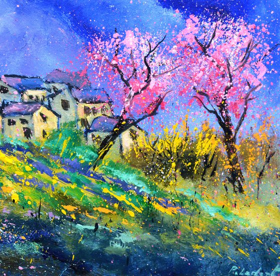 Blooming cherry trees in Provence