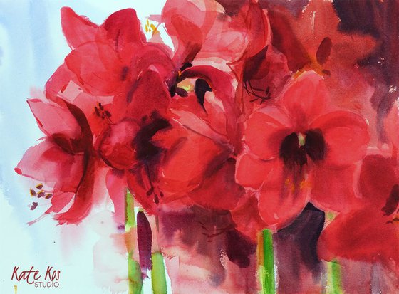 Amaryllis