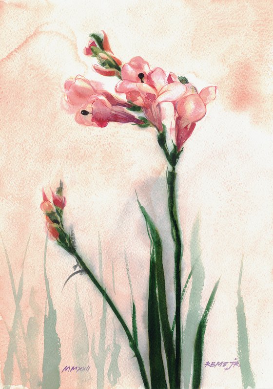 Flowers III - Freesia