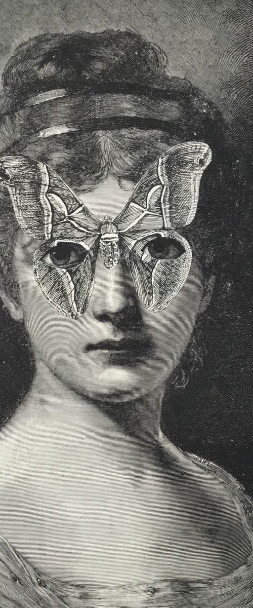 Butterfly - At The Ball by Tudor Evans