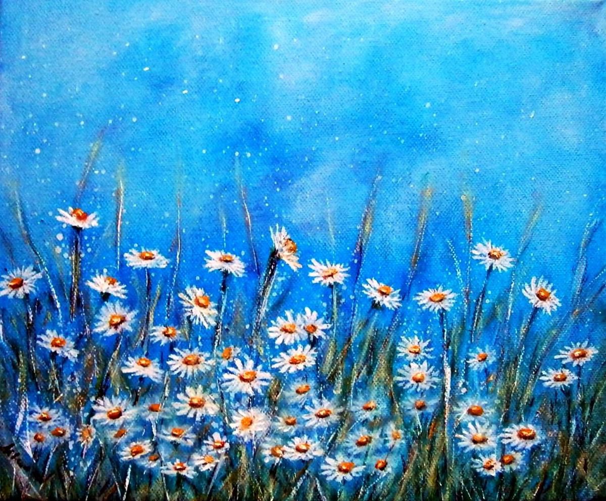 Daisy in the meadows .. by Emilia Urbanikova