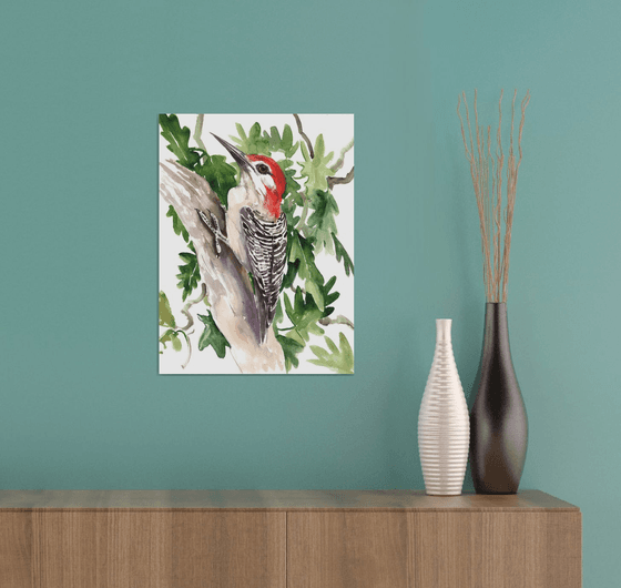 Red-Bellied Woodpecker, Original watercolor painting