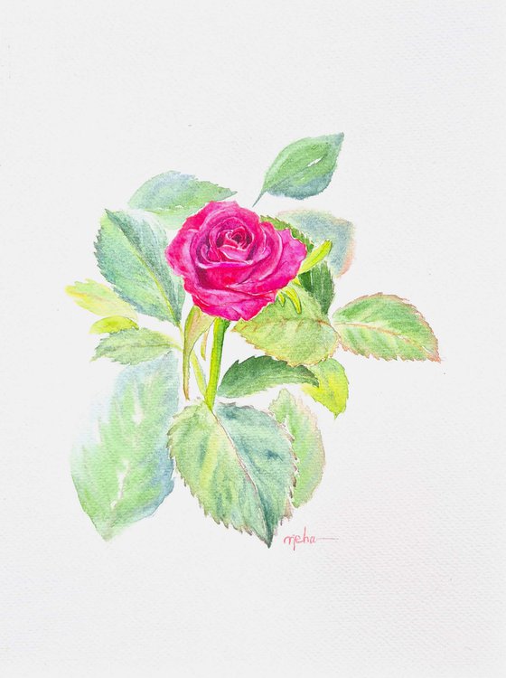 Rose with leaves