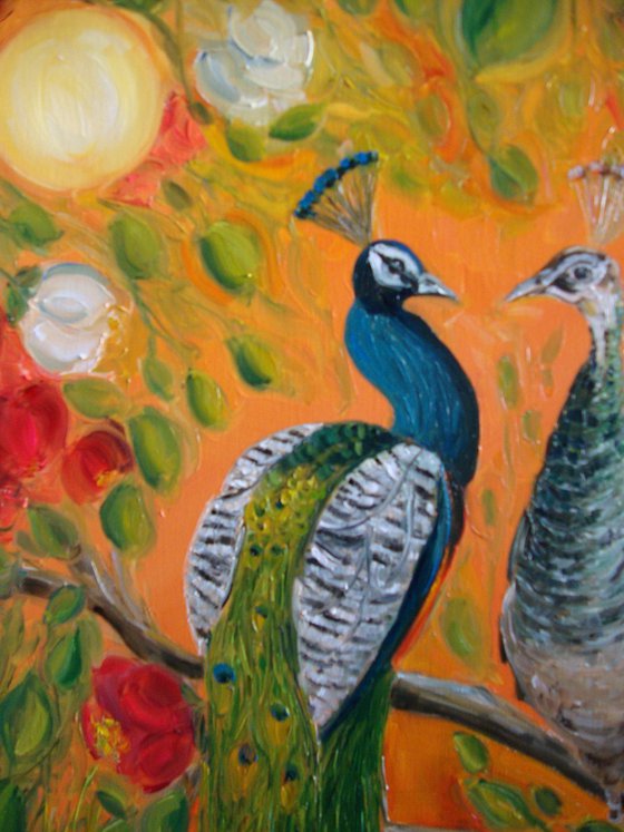 Pair of peacocks