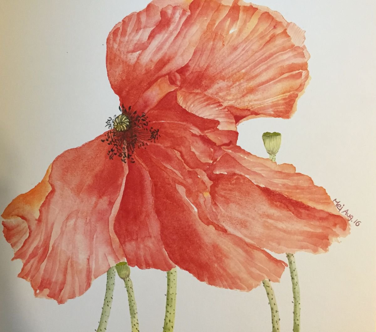 Red Poppie by Angelflower (Sun Mei)