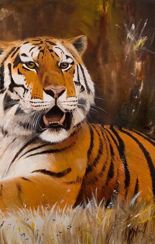 Magic tiger by Gianfranco Combi