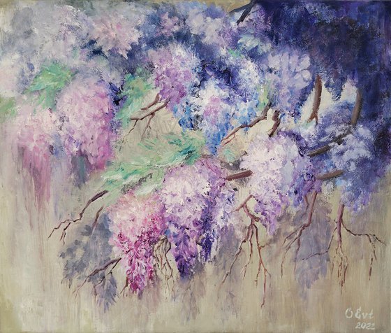 Spring Will Come, Wisteria Will Blossom Again