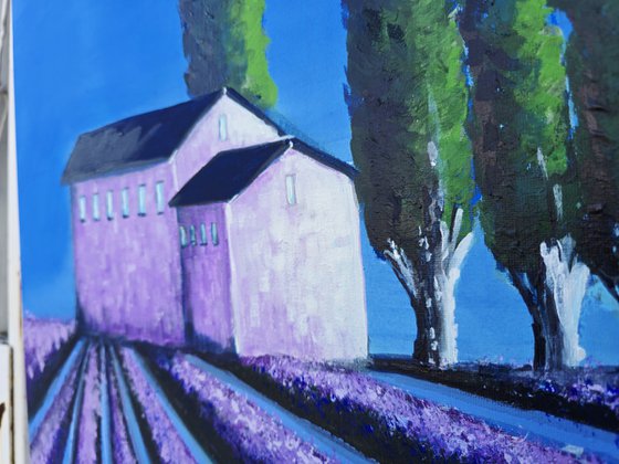 The simmetry of Provence X
