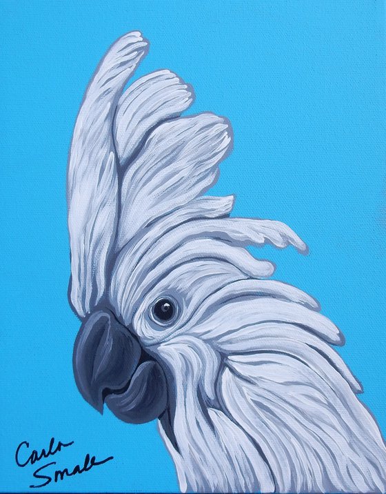 Umbrella Cockatoo Pet Bird Art Original Canvas 8 x 10-Carla Smale