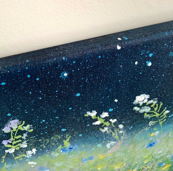 Snowdrops & Stars