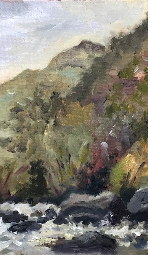 Mountain stream at Aberglaslyn, Snowdonia. An original painting. by Julian Lovegrove Art