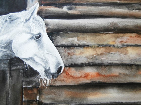 WHITE HORSE