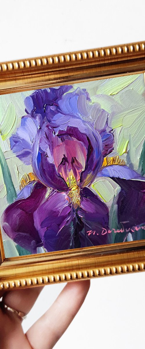 Iris flower purple by Nataly Derevyanko