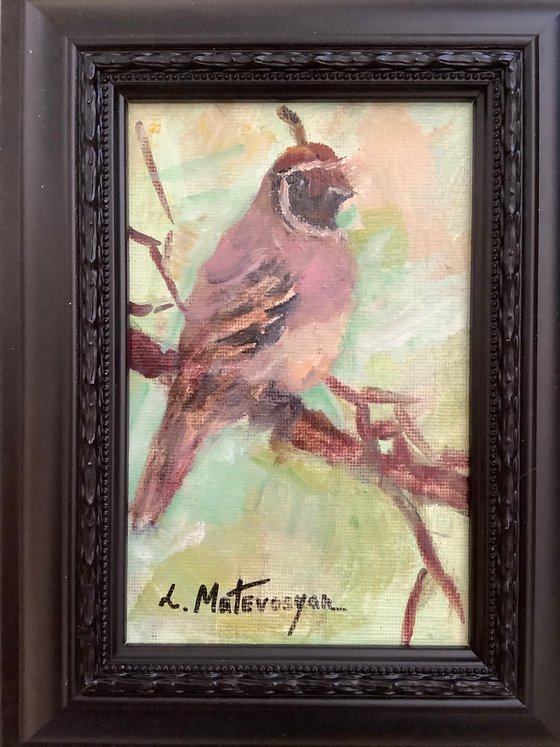 Quail