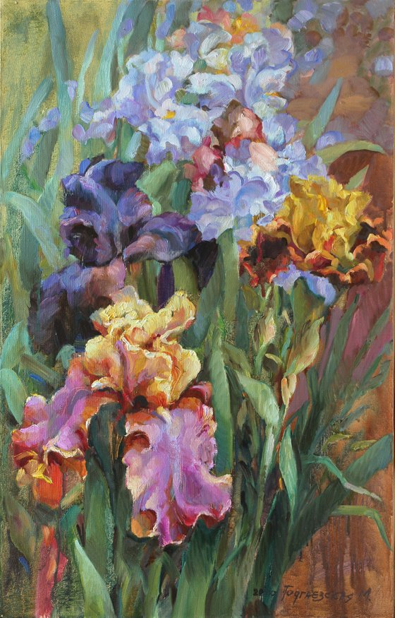 IRIS GARDEN