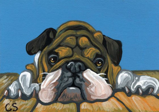 ACEO ATC Original Painting English Bulldog Pet Dog Art-Carla Smale